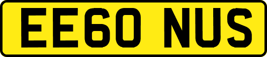 EE60NUS