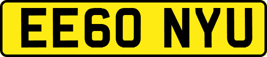 EE60NYU
