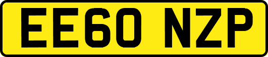EE60NZP
