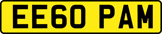 EE60PAM