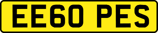 EE60PES
