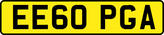EE60PGA