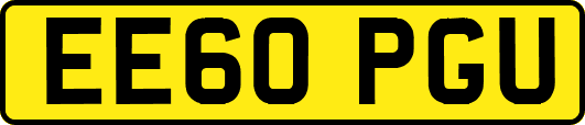 EE60PGU