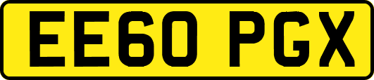 EE60PGX