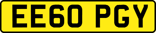 EE60PGY