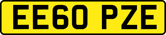 EE60PZE