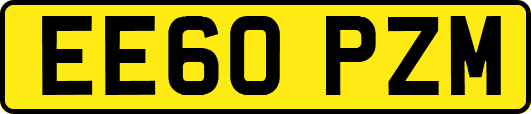EE60PZM
