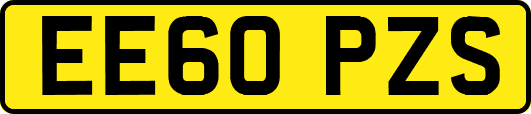 EE60PZS