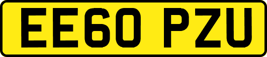 EE60PZU