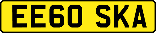 EE60SKA