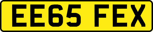 EE65FEX