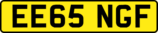 EE65NGF