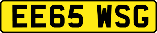 EE65WSG