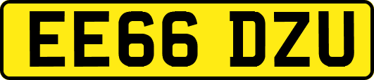 EE66DZU