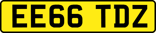 EE66TDZ