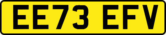 EE73EFV