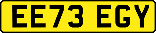 EE73EGY