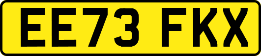 EE73FKX