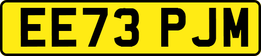EE73PJM