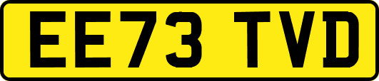 EE73TVD