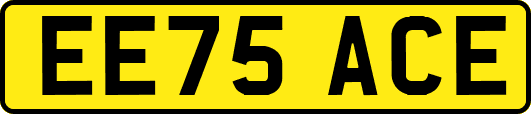 EE75ACE