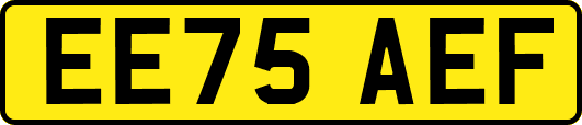 EE75AEF