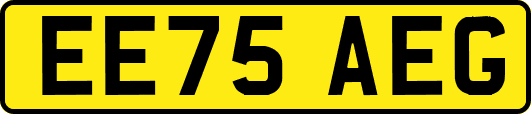 EE75AEG