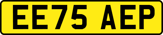 EE75AEP