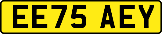 EE75AEY