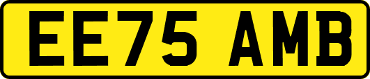 EE75AMB