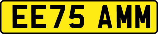 EE75AMM