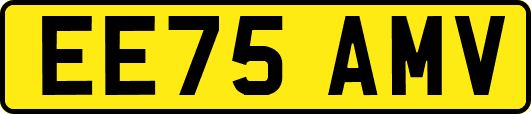 EE75AMV
