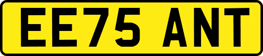 EE75ANT