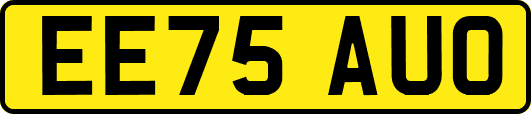 EE75AUO