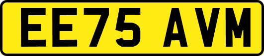 EE75AVM