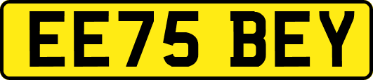 EE75BEY