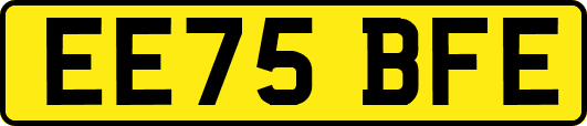 EE75BFE