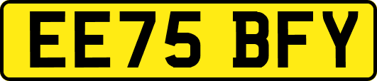 EE75BFY