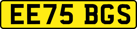 EE75BGS