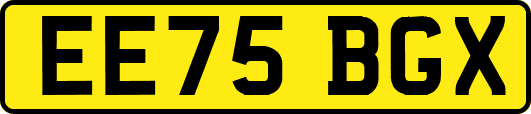 EE75BGX