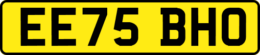 EE75BHO