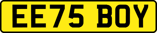 EE75BOY