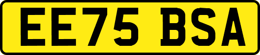 EE75BSA