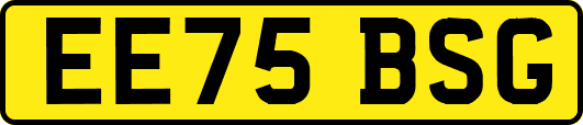 EE75BSG