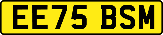 EE75BSM