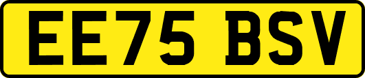 EE75BSV