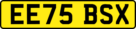 EE75BSX