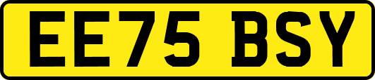 EE75BSY