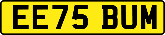 EE75BUM