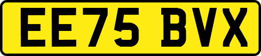 EE75BVX
